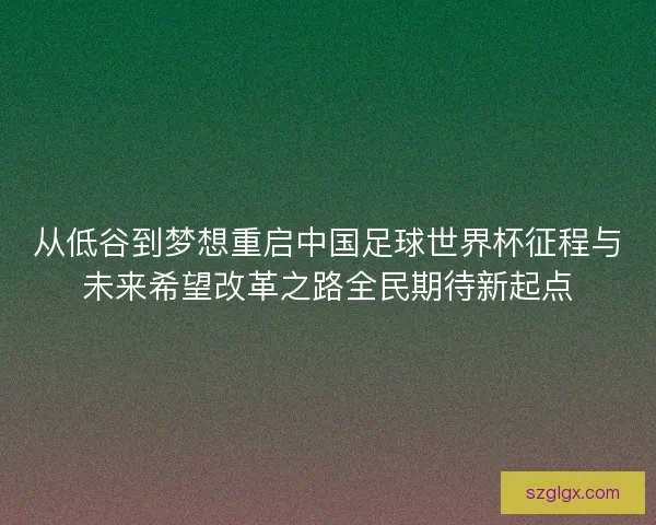 从低谷到梦想重启中国足球世界杯征程与未来希望改革之路全民期待新起点