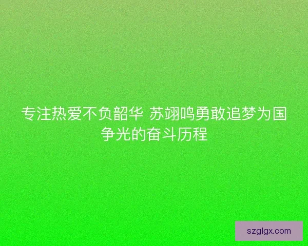 专注热爱不负韶华 苏翊鸣勇敢追梦为国争光的奋斗历程