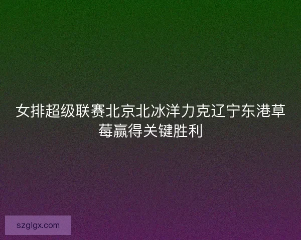 女排超级联赛北京北冰洋力克辽宁东港草莓赢得关键胜利 女排超级联赛北京北冰洋力克辽宁东港草莓赢得关键胜利